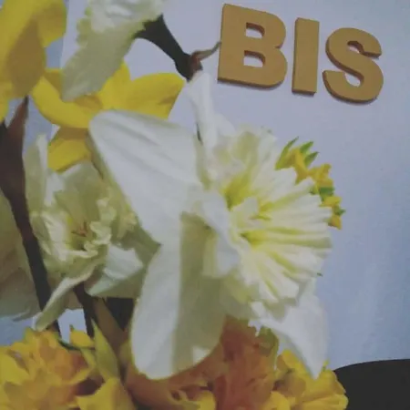 Prenociste Bis Inn *